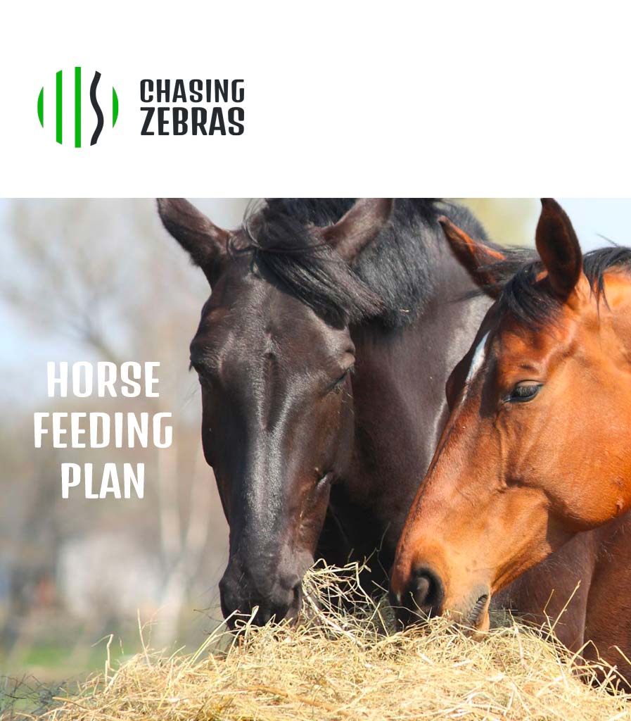 Additional horse- same property: available with 'The Works'