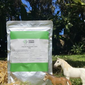 Jiaogulan 500gram - J herb powder (Gynostemma pentaphyllum)