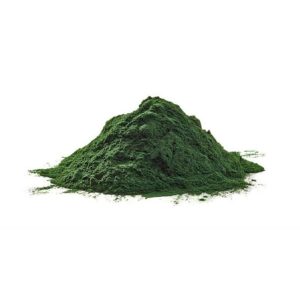 Organic Spirulina Powder 1kg