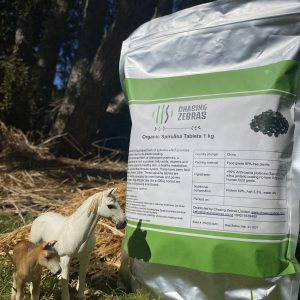 Organic Spirulina Tablets 1kg