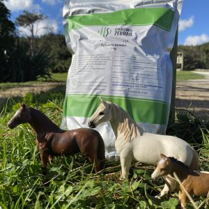 Organic Spirulina Powder 1kg